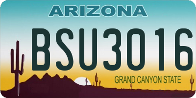 AZ license plate BSU3016