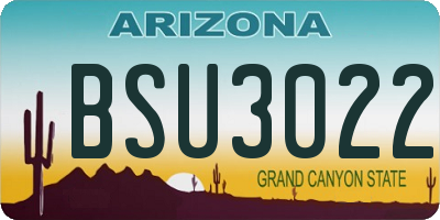 AZ license plate BSU3022