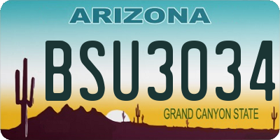 AZ license plate BSU3034