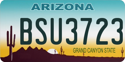 AZ license plate BSU3723