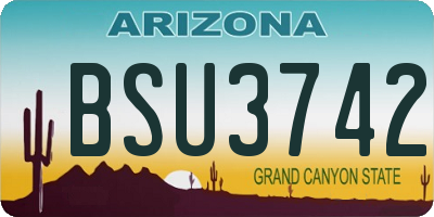 AZ license plate BSU3742