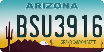 AZ license plate BSU3916
