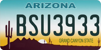 AZ license plate BSU3933