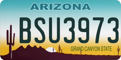 AZ license plate BSU3973