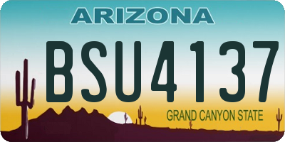 AZ license plate BSU4137