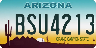 AZ license plate BSU4213