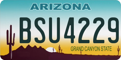AZ license plate BSU4229