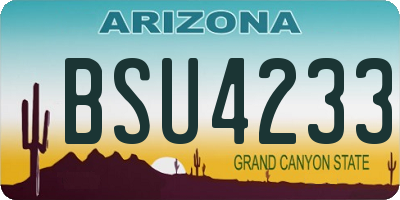 AZ license plate BSU4233