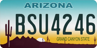 AZ license plate BSU4246