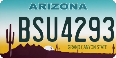 AZ license plate BSU4293