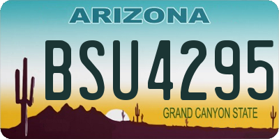 AZ license plate BSU4295
