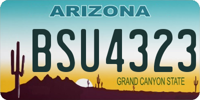 AZ license plate BSU4323