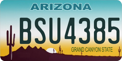 AZ license plate BSU4385