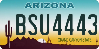 AZ license plate BSU4443