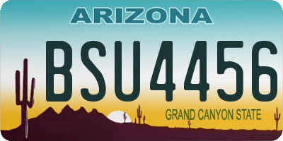 AZ license plate BSU4456