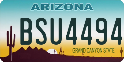 AZ license plate BSU4494