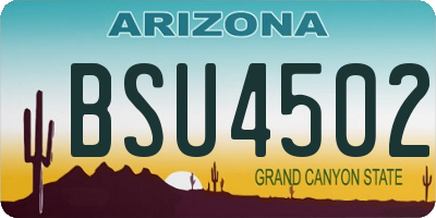 AZ license plate BSU4502