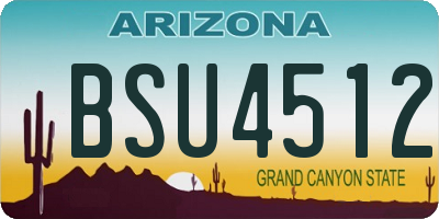 AZ license plate BSU4512
