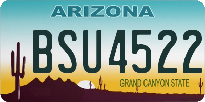 AZ license plate BSU4522