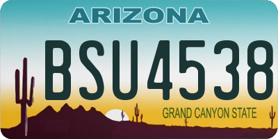 AZ license plate BSU4538