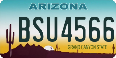 AZ license plate BSU4566