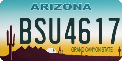 AZ license plate BSU4617