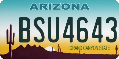 AZ license plate BSU4643