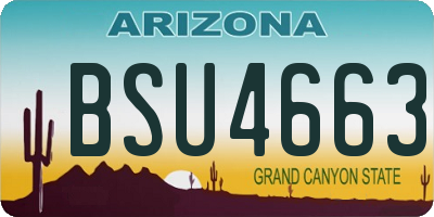 AZ license plate BSU4663