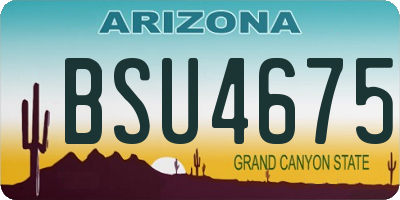 AZ license plate BSU4675