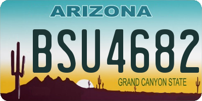 AZ license plate BSU4682
