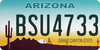 AZ license plate BSU4733