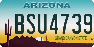 AZ license plate BSU4739