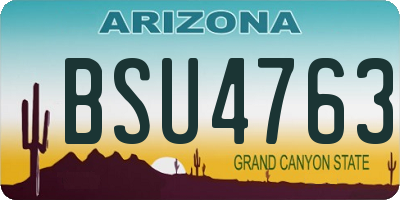 AZ license plate BSU4763