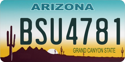 AZ license plate BSU4781