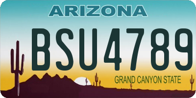 AZ license plate BSU4789