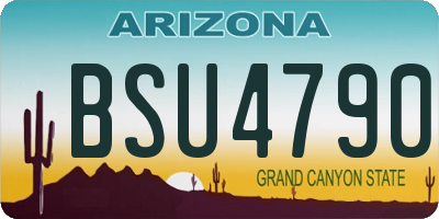 AZ license plate BSU4790