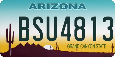 AZ license plate BSU4813