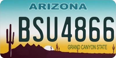 AZ license plate BSU4866