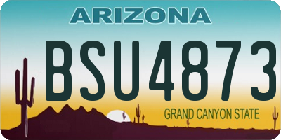 AZ license plate BSU4873