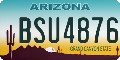 AZ license plate BSU4876