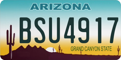 AZ license plate BSU4917