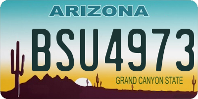 AZ license plate BSU4973