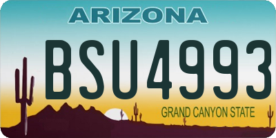 AZ license plate BSU4993