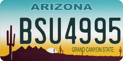 AZ license plate BSU4995