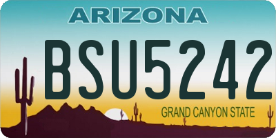 AZ license plate BSU5242