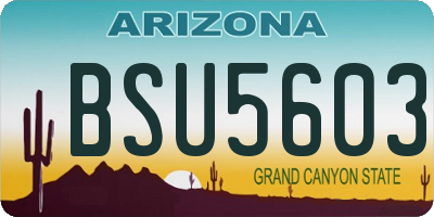AZ license plate BSU5603