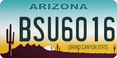 AZ license plate BSU6016