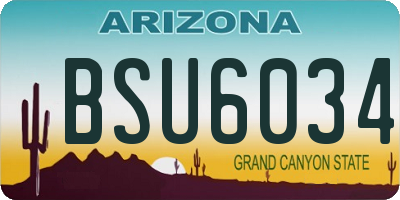 AZ license plate BSU6034