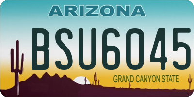 AZ license plate BSU6045