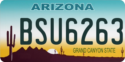 AZ license plate BSU6263
